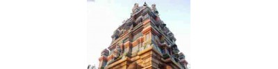 காரமடை